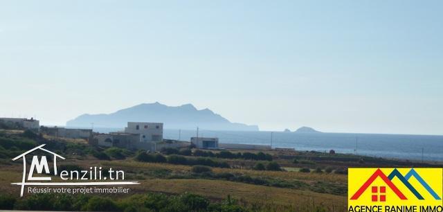 Terrain de 660m2 constructible a la mer el haouaria