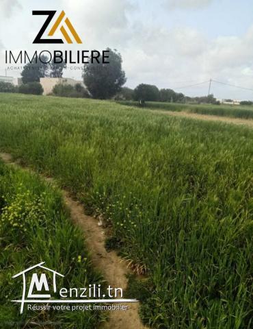 2 hectare  a vendre