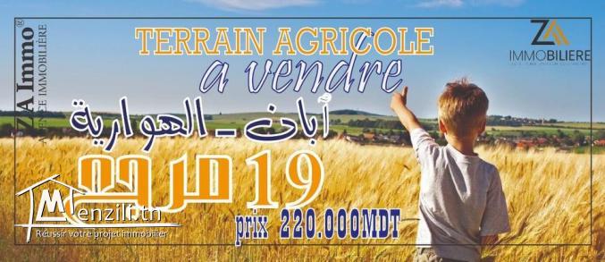 مرجع للبيع 19