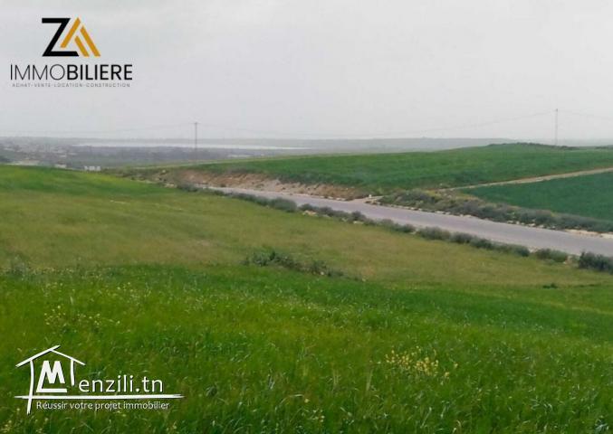 un terrain de 9000m² à Manzel brahim-Azmour