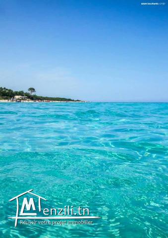 4 superbes appt s+2  a Zahra kélibia