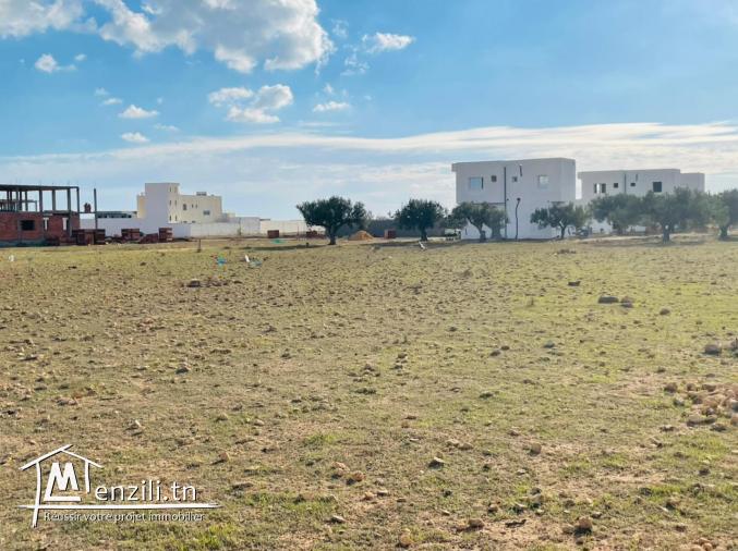 terrain à vendre à 800m de la plage