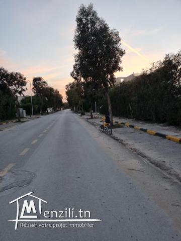 Villa au flamant rose raoued plage