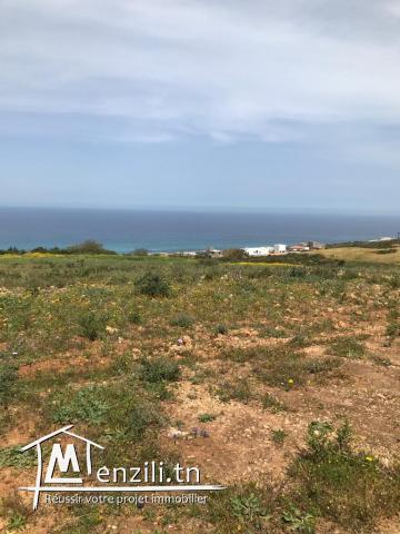 Magnifique terrain viabilisé vue sur mer 180deg