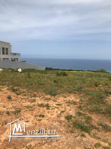 Magnifique terrain viabilisé vue sur mer 180deg