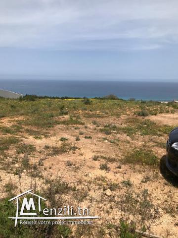 Magnifique terrain viabilisé vue sur mer 180deg