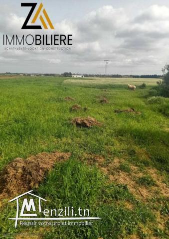 Z'A immobilière met a votre dispositions une jolie ferme