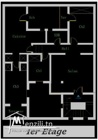 A vendre villa de 3 appartements à prix attractif