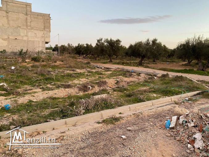 terrain à vendre ( sousse riadh ) près de lycée ibn roched
