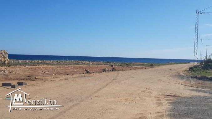 Terrain vue sur mer à dar Allouche kélibia
