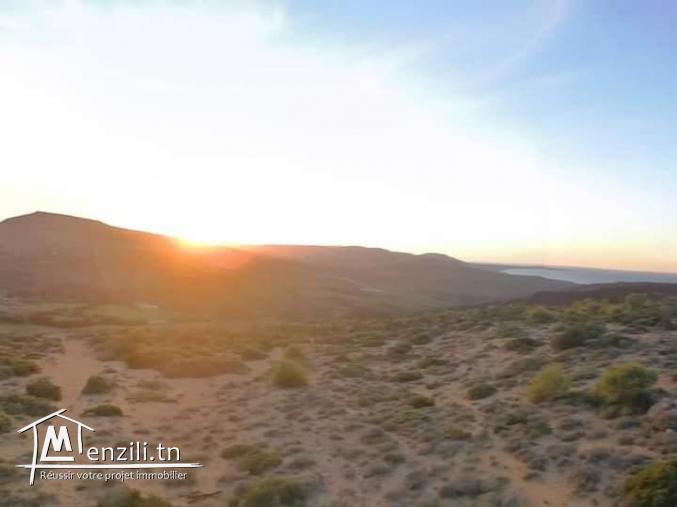 أرض ببنزرت الشمالية منطقة الناظور المنظر الجميل