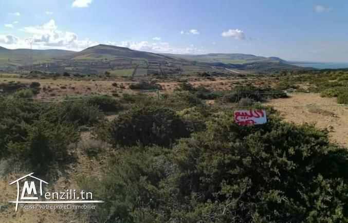 أرض ببنزرت الشمالية منطقة الناظور المنظر الجميل