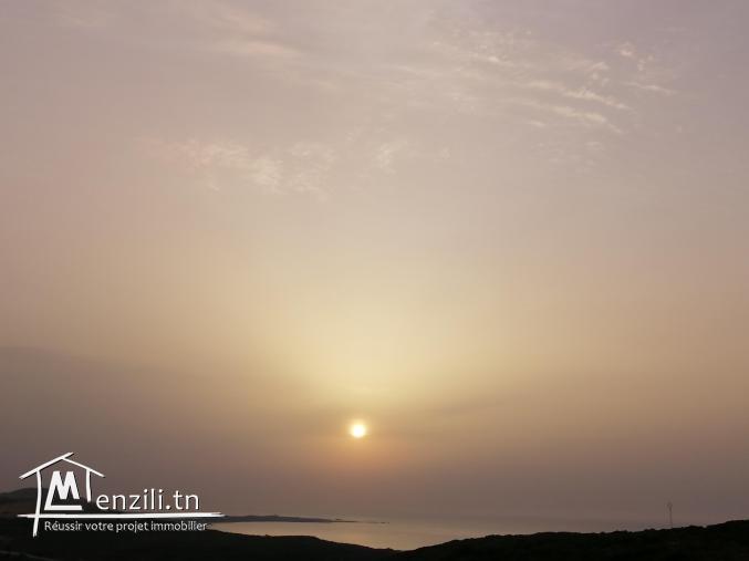 أرض ببنزرت الشمالية منطقة الناظور المنظر الجميل