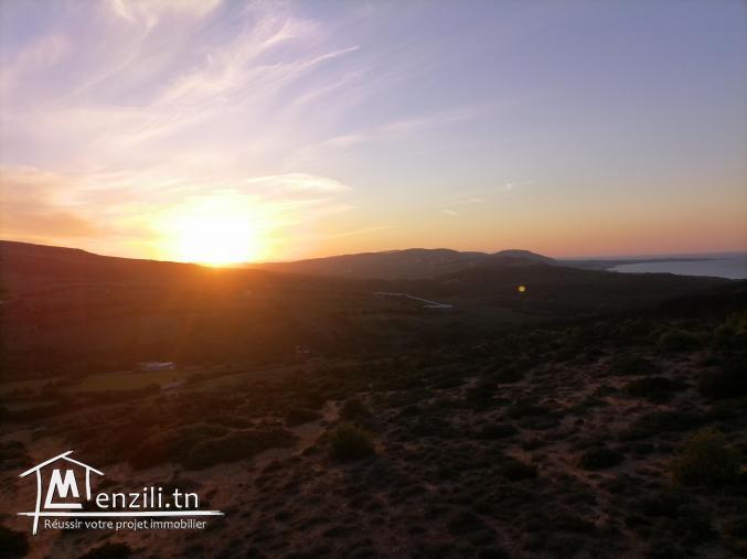 أرض ببنزرت الشمالية منطقة الناظور المنظر الجميل