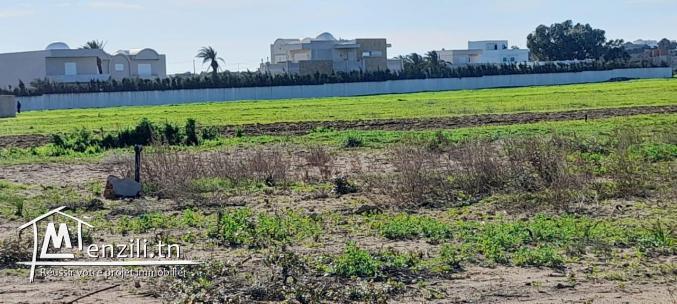 أراضي على البحر ابتدأً من 49 مليون أكهو ????????