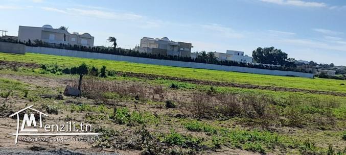 أراضي على البحر ابتدأً من 49 مليون أكهو ????????