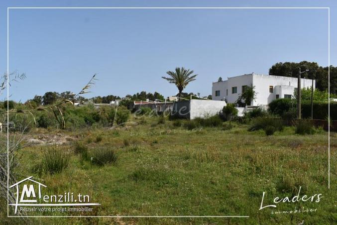 TERRAIN A CHOTRANA 3 27246324