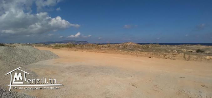 Un lot du terrain 50 m de la plage dar allouche