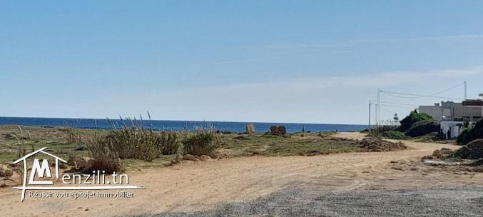 Un lot du terrain 50 m de la plage dar allouche