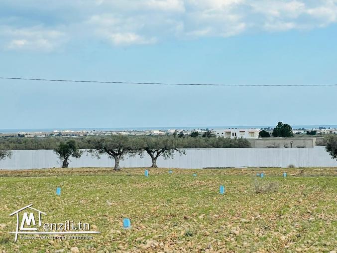 Terrain à vendre à Hammamet sud avec vue panoramique mer