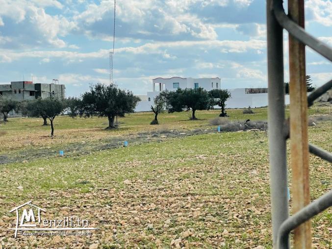 Terrain à vendre à Hammamet sud avec vue panoramique mer