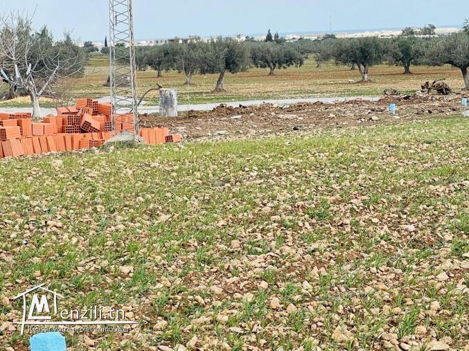 Terrain à vendre à Hammamet sud avec vue panoramique mer