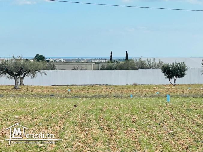 Terrain à vendre à Hammamet sud avec vue panoramique mer