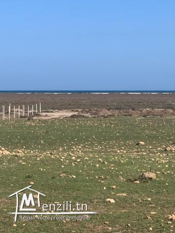 Terrain Habitable à vendre au bord de la plage