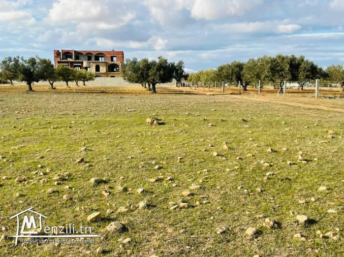 Terrain Habitable à vendre au bord de la plage