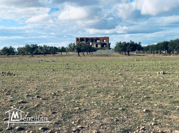 Terrain Habitable à vendre au bord de la plage