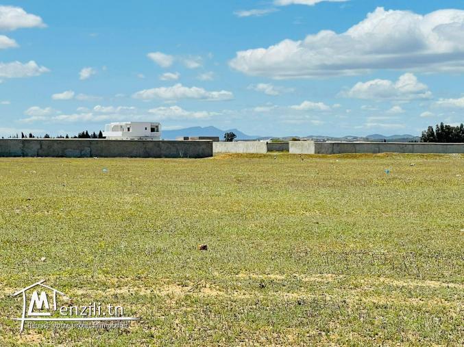Terrain à vendre à Hammamet Yasmine