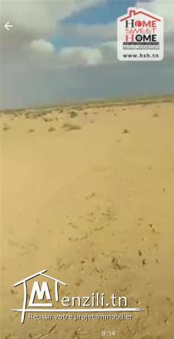Terrain Sahra à Vendre à Skhira