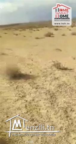 Terrain Sahra à Vendre à Skhira