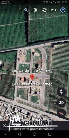 terrain à Morneg loti viabilisé- autorisation de batir