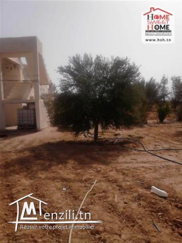 Terrain Agricole Ksar Daghara à Vendre à Remada