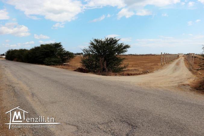 terrain a vendre à 4km de yesmin hammamet