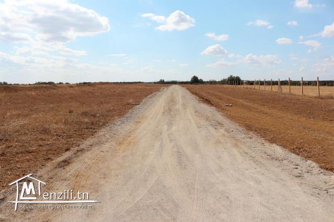 terrain a vendre à 4km de yesmin hammamet