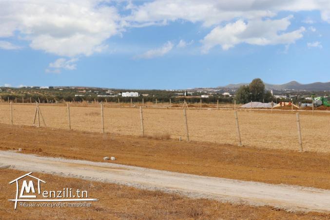 terrain a vendre à 4km de yesmin hammamet