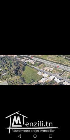 Terrain à vendre situé à mornag sur l'autoroute A1