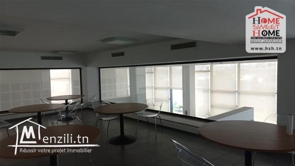 Immeuble Olivos à Louer aux Berges du Lac 3