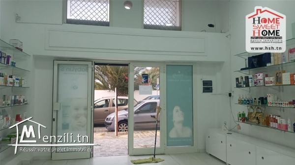 Fond Lustre à Vendre aux Berges du lac 1