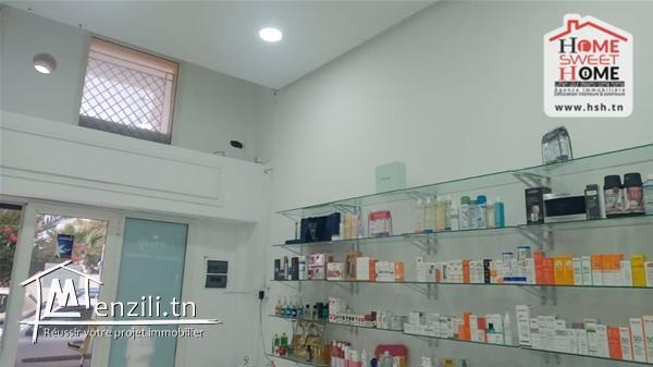 Fond Lustre à Vendre aux Berges du lac 1