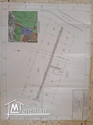 #للبيع #قطعة #ارض صالحة للبناء