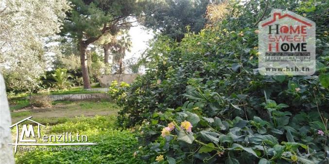 Terrain Habitation Tanit