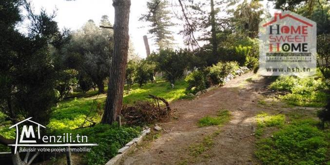 Terrain Habitation Tanit