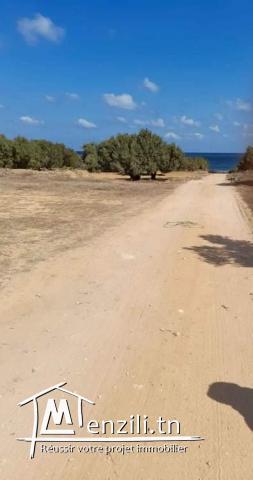 Terrain a vendre a teboulba monastir