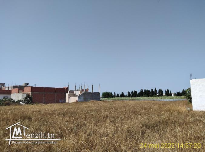 ارض ببني خيار ديار بن سالم