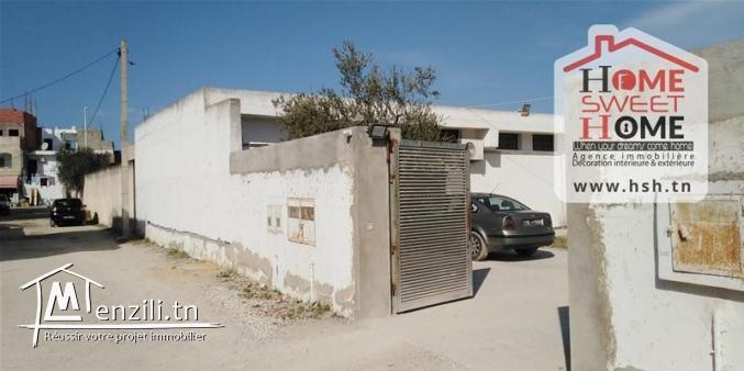 Terrain Invest a Ain zaghouan