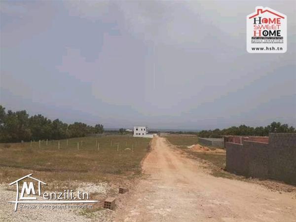 Terrain Agricole Kerkouane à Vendre à Klibia