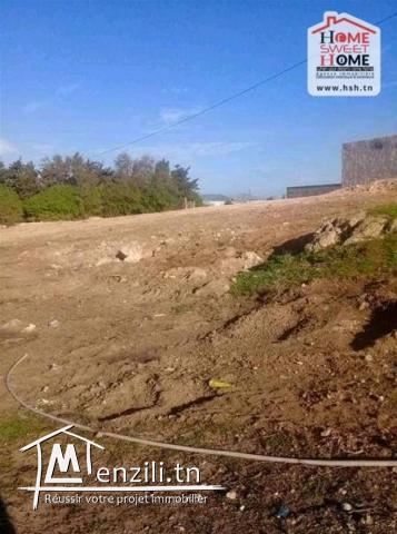 Terrain Agricole Kerkouane à Vendre à Klibia